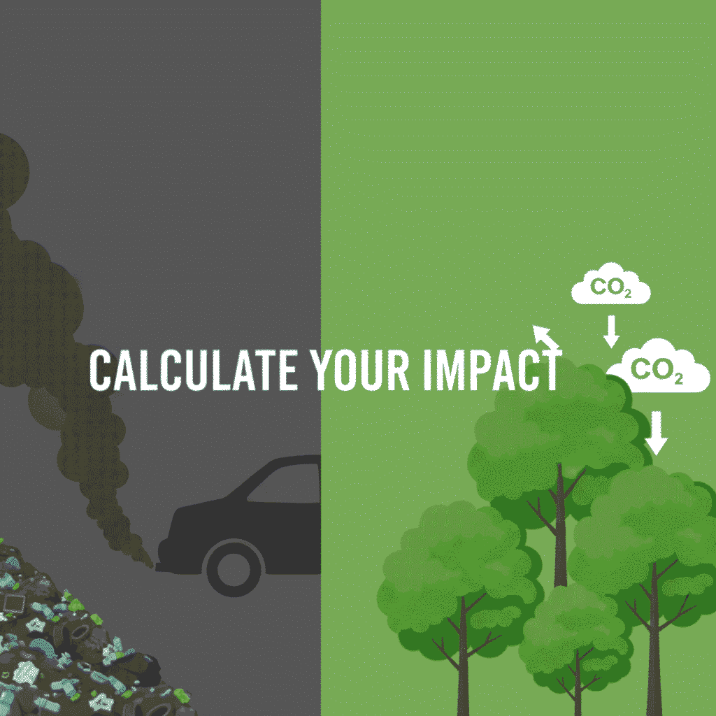 Carbon Footprint from Waste Calculator: Measure Your Household’s Carbon Footprint in Dubai